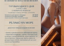 Лазаревское пос.: Санаторий Одиссея Wellness Resort