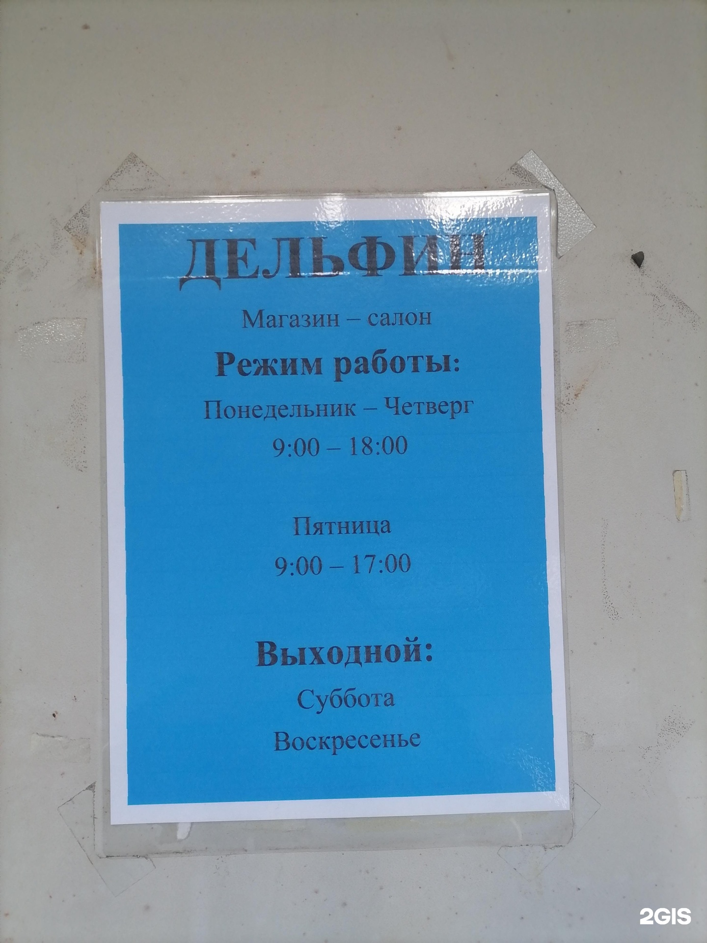 Дельфин пенза режим. Дельфин Пенза режим работы. Магазин Дельфин Пенза.