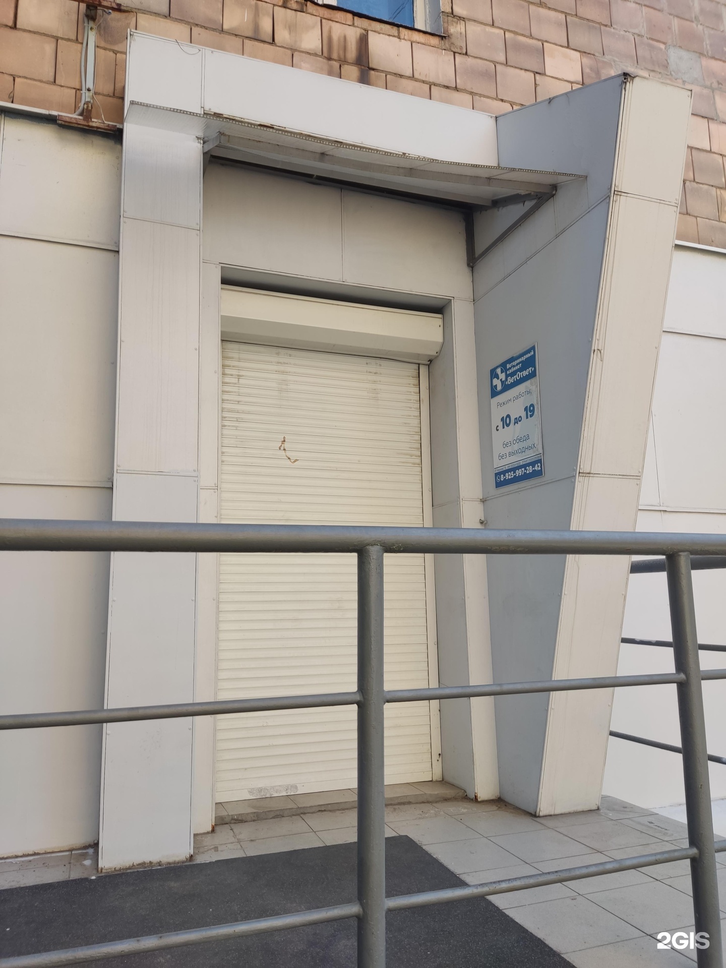 ветврач на дом москва. красное село боровая 1 ветклиника. вет сити москва. диспарензация собаки. московская область, электросталь, проспект ленина, 26.