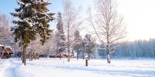 Кострома: Отель Берендеевка