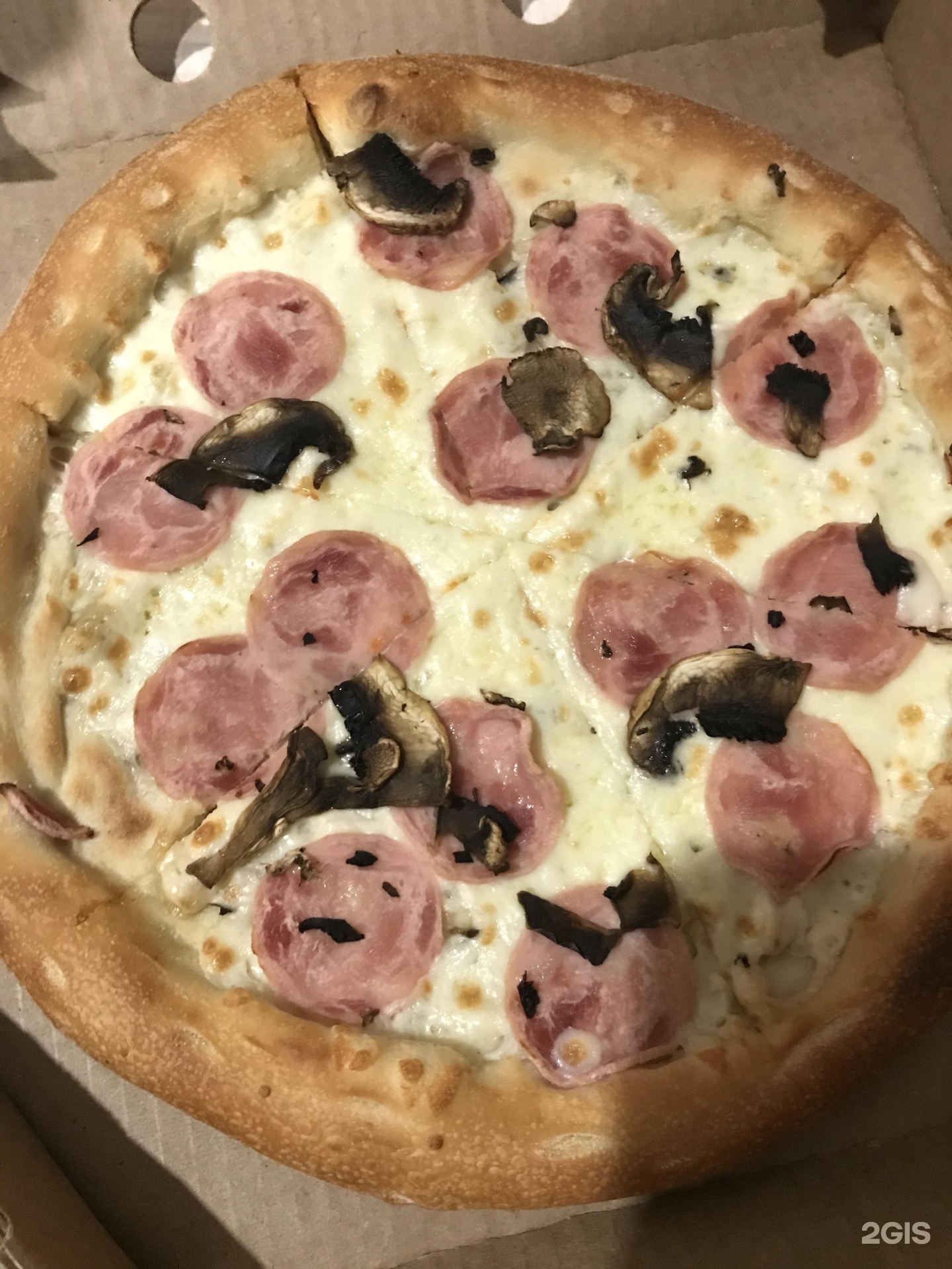 ассортимент пицца лисица фото 69
