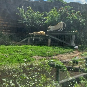 Фото от владельца Зоопарк Удмуртии