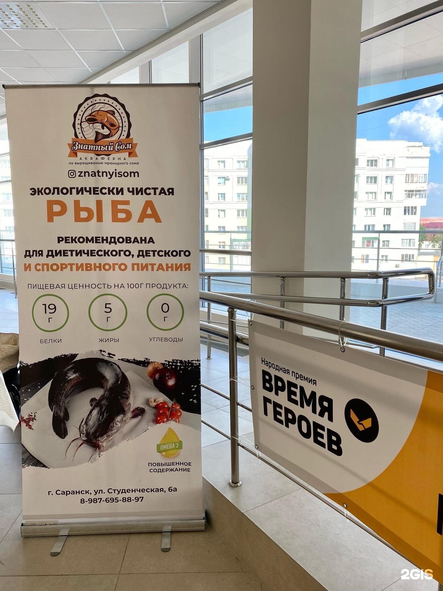 знатный сом саранск адрес. знатный сом саранск адрес. мраморный сом саранск васенко. мраморный сом саранск. знатный сом саранск.