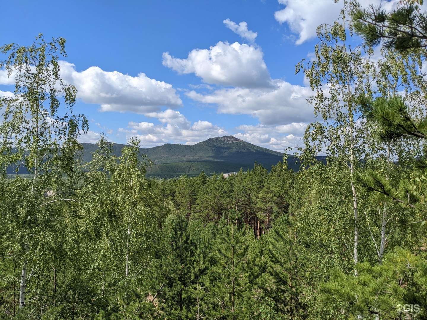 Orman Ski