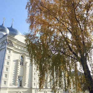 Фото от владельца Покровский собор