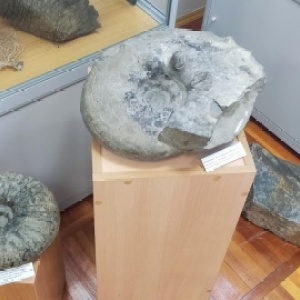 Фото от владельца Минералогический музей, Дальневосточный геологический институт ДВО РАН