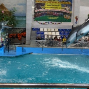 Фото от владельца Набережночелнинский дельфинарий