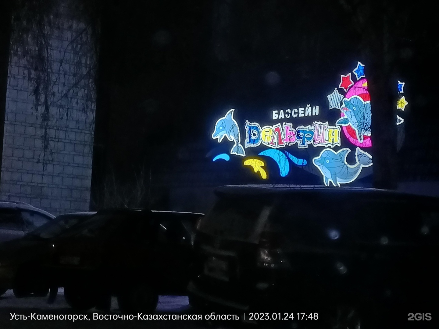 Дельфин