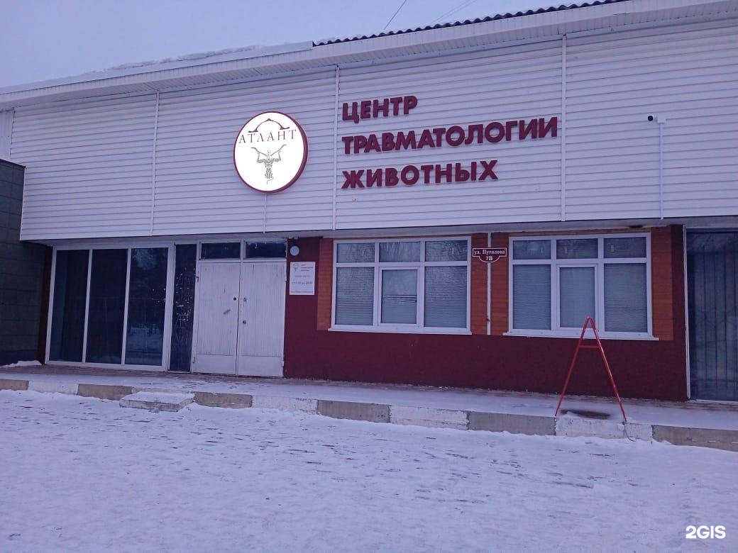 Самошкин игорь борисович центр травматологии. Самошкин игорь борисович центр травматологии. Самошкин игорь борисович ветклиника. Психотерапевт спб клиника в калининском районе. Центр травматологии животных самошкин.