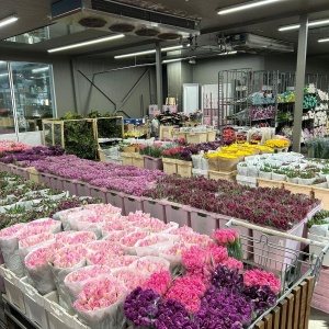 Фото от владельца Крокус, центр оптовой продажи цветов