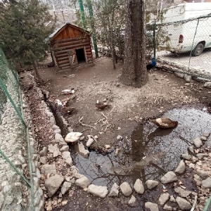 Фото от владельца ТАУ House, отель