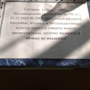 Фото от владельца Магазин саженцев, НИИ садоводства Сибири им. М.А. Лисавенко