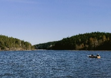 Лахденпохский район: Кемпинг Radostland