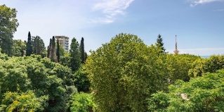 Сочи: Отель Мирит