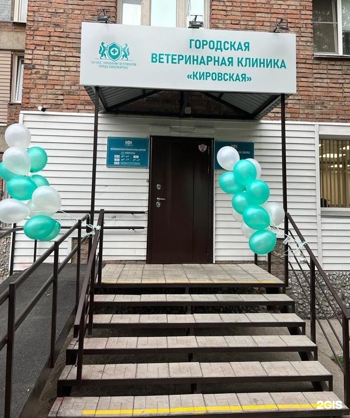 Центр кировского новосибирск