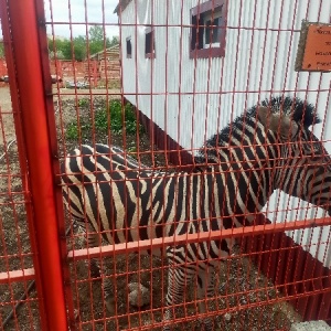 Фото от владельца Карагандинский государственный зоопарк