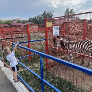 Фото от владельца Карагандинский государственный зоопарк