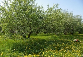 Санаторий Сигнал в Калужской области