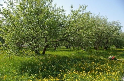 Обнинск: Санаторий Сигнал