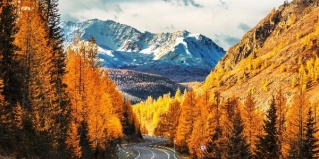 Онгудайский район: Отель Кедр Золотой