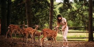 Киржачский район: Апартаменты Артколхоз