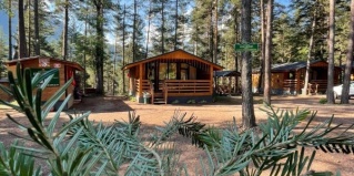 Архыз: Турбаза King house Arkhyz