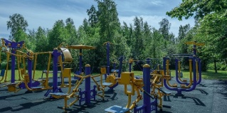 Лисий Нос: Отель Fox inn hotel