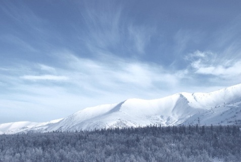 Кировск: Отель Эккос