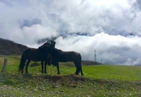 Отель Mountain Saniba eco hotel в Республике Северная Осетия — Алания