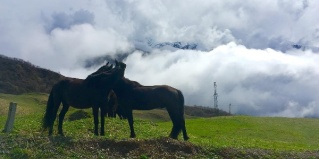 Старая Саниба: Турбаза Mountain Saniba eco hotel