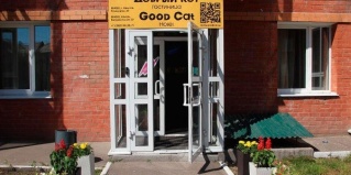 Иркутск: Отель Добрый кот