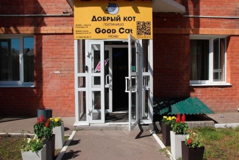 Отель «Добрый кот», Иркутск — фото 4