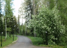 Междуреченск: Отель Романтика