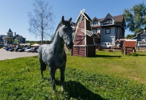 Отель Серая лошадь в Юдино