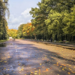 Фото от владельца Южный, ландшафтный парк