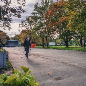 Фото от владельца Южный, ландшафтный парк