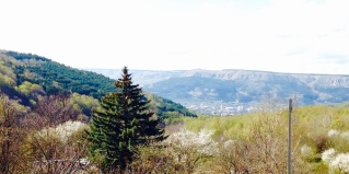 Кисловодск: Коттедж Олимпия