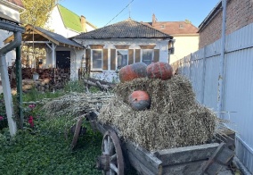 Отель Русская изба в Ростове-на-Дону