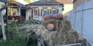 Ростов-на-Дону: Отель Русская изба