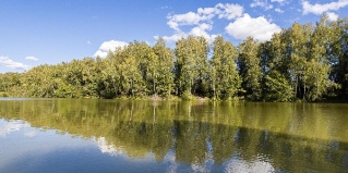 Боровский район: Глэмпинг Белые Ключи