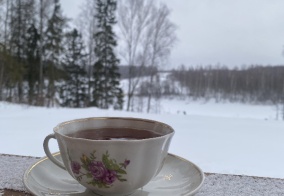 Глэмпинг Osuga Village в Тверской области