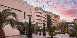 Адлер: Отель Gp Фестиваль