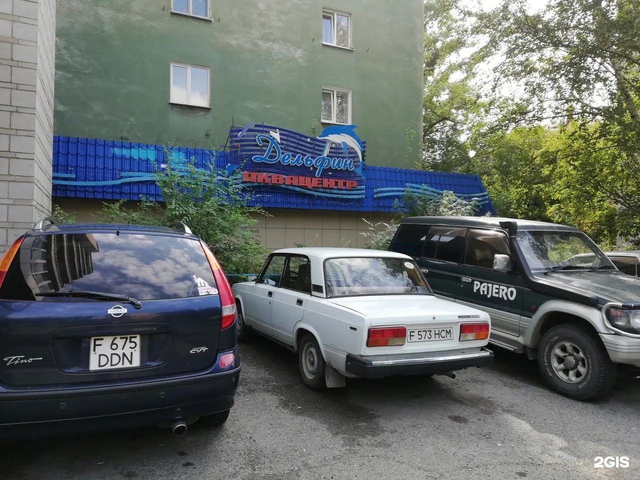 Дельфин