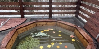 Елизарово: Отель Экоферма Елизарово