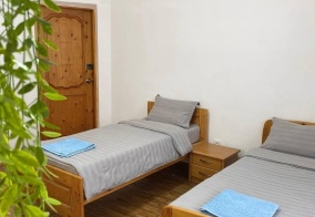 Хостел Cats&Beds hostel в Бишкеке