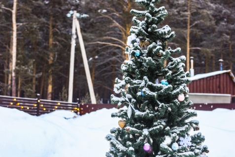 Куса: Глэмпинг Тишина