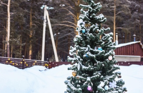 Куса: Глэмпинг Тишина