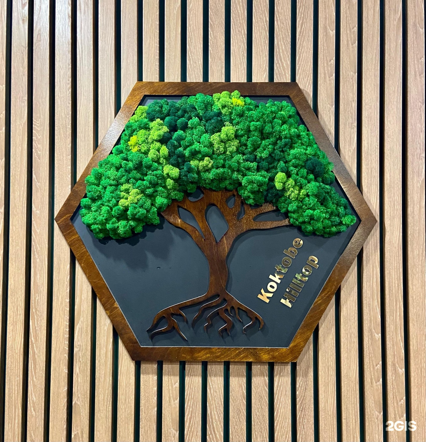 Kok-Tobe Hilltop
