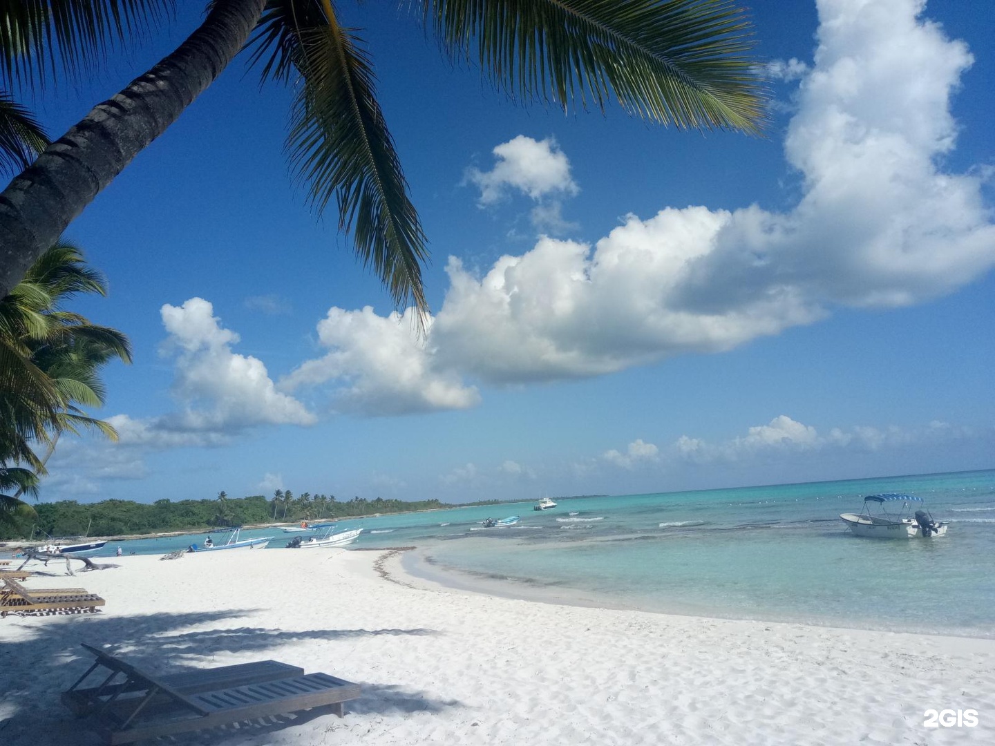 Эль турс. Сибирь тур офис. Оформление офиса туристической фирмы, окна. Эль тур новосибирск. Эль турс.