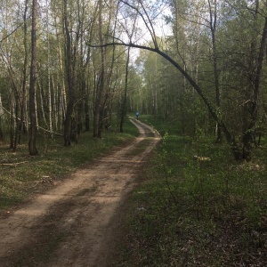 Фото от владельца Бугринская роща, парк культуры и отдыха